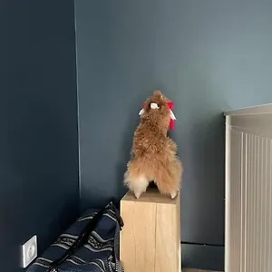 Le Bon Quai Appartement